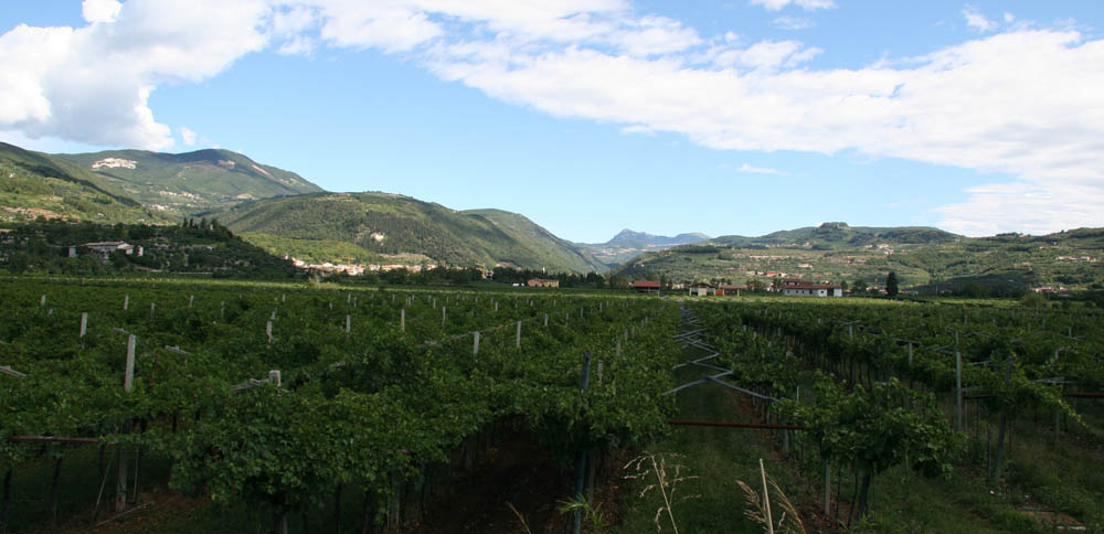 San Pietro in Cariano