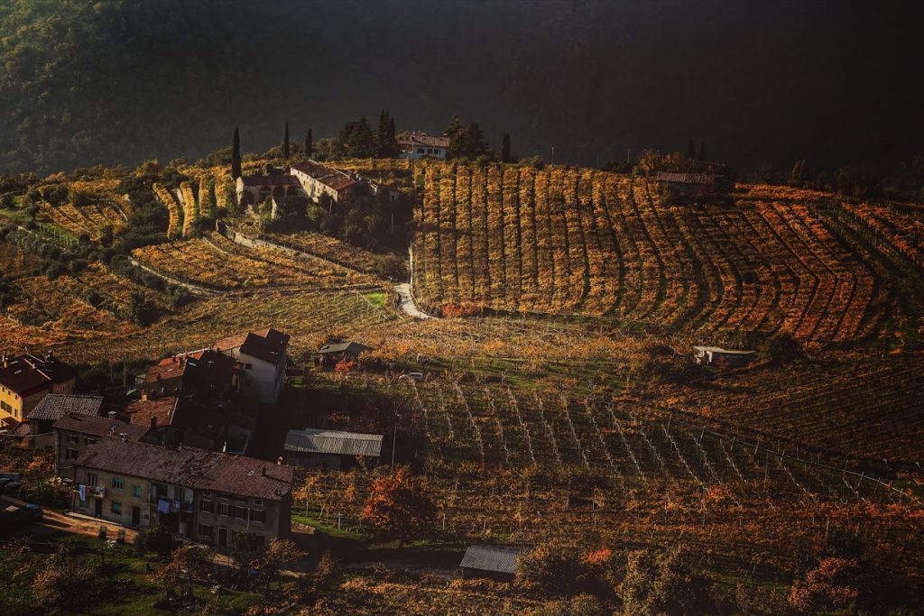 La Valpolicella