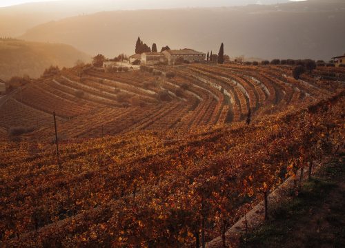 Il territorio della Valpolicella