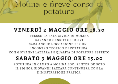 Censimento degli olivi e un breve corso di potatura