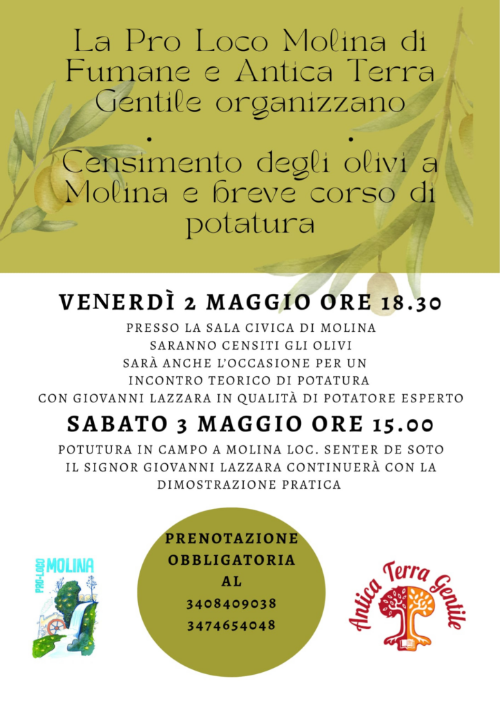 Censimento degli olivi e un breve corso di potatura