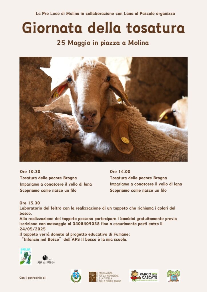 Giornata della Tosatura – Pro Loco Molina di Fumane
